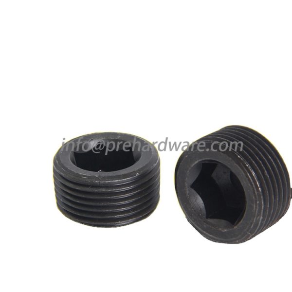 Stainless Steel Male NPT Hollow Hex Plug - Image 3