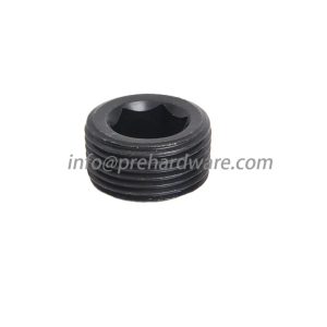 Stainless Steel Male NPT Hollow Hex Plug