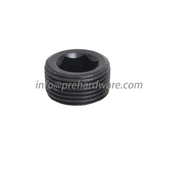 Stainless Steel Male NPT Hollow Hex Plug
