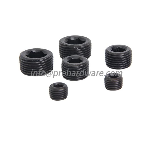 Stainless Steel Male NPT Hollow Hex Plug - Image 4