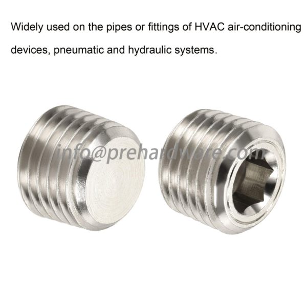 DIN908 NPT Hollow Hex Plug Supplier in China,nickel plated brass pipe plug - Image 3
