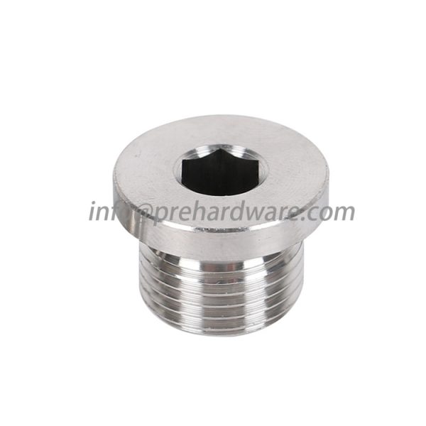 Metric DIN 908 Hexagon Socket Screw Plug with Collar