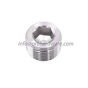 Factory direct sale Stainless steel BSPT/NPT male thread hollow hex plug