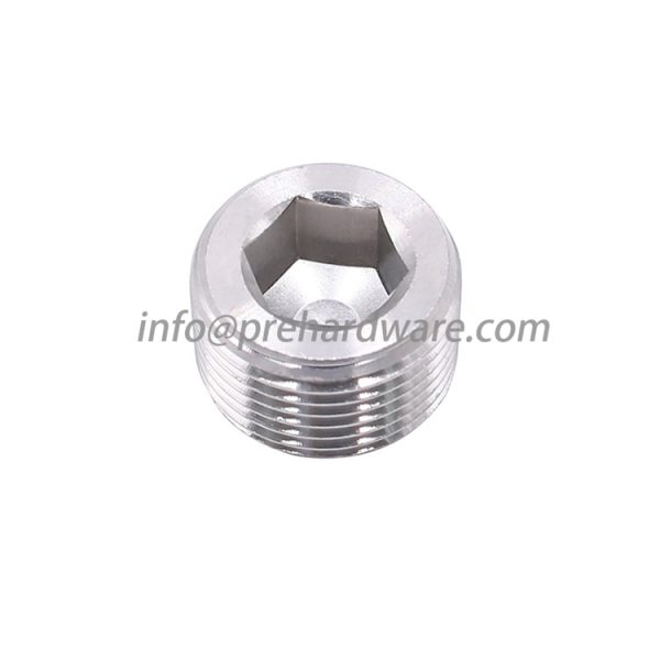 Factory direct sale Stainless steel BSPT/NPT male thread hollow hex plug