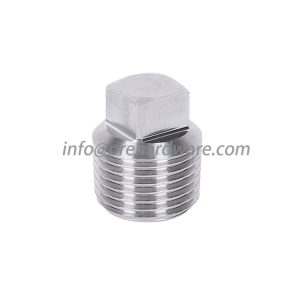 Instrumentation Stainless Steel square head pipe plug