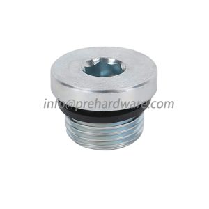 Brass Internal Hex Male BSPP Thread Blanking Plug With O-ring